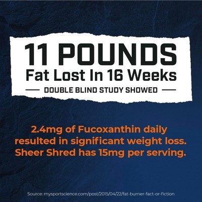 Sheer Strength Lab Sheer Shred Thermogenic Fat Burner Capsaicin L-Carnitine  1/27