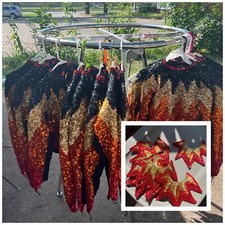 High Quality Satin Stitches Dance Costumes Shirts W/ Hair Pieces Fire Sequin X17