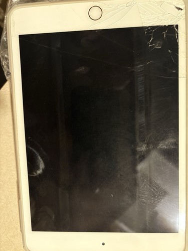 Apple iPad mini (5th Generation) A2133 64 GB, Wi-Fi, 7.9 in - Rose - Picture 6 of 6