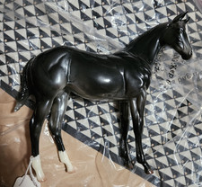 Peter Stone glossy weanling Quarter horse