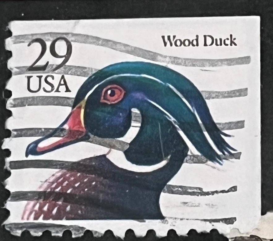 The Reason You Can Not Find Me Here Is That I Am Not Here I’ve GONE HUNTING - Image 4 of 4