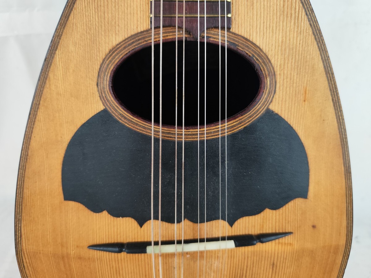 フラテリ ヴィナッチャ マンドリン Fratelli Vinaccia 24