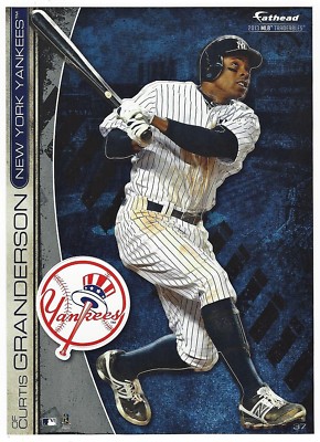 CURTIS GRANDERSON NEW YORK YANKEES FATHEAD TRADEABLES REMOVABLE STICKER 2013 #37