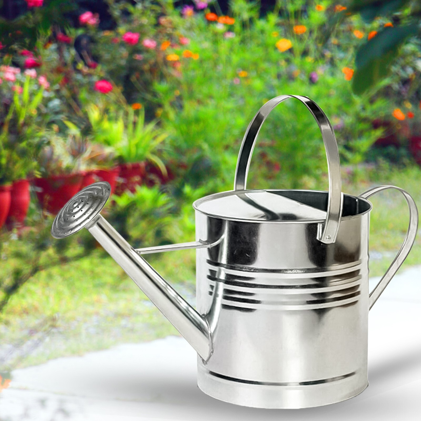 10L Galvanized Metal Plant Watering Can for Indoor Outdoor Garden Plants eBay