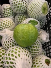 Fresh Pink Guava (3 LBS) The Actual Fruit