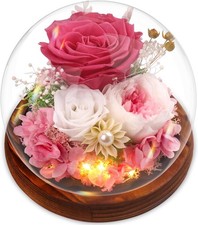 Valentines Day Rose Gifts for Women, Preserved Eternal Rose in Glass Dome, Real