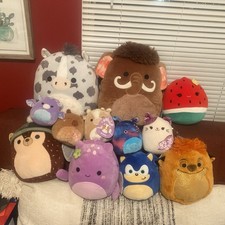 Squishmallows Mixed Plush Lot Of 12