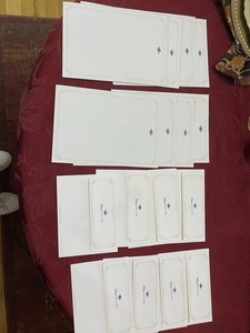 Disney Cruise Line Stationary. x8 Stationary Sheets, x8 Envelopes. NEW.
