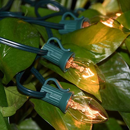  25 Pack C7 Christmas Light Bulbs, C7 Incandescent Christmas Replacement Clear