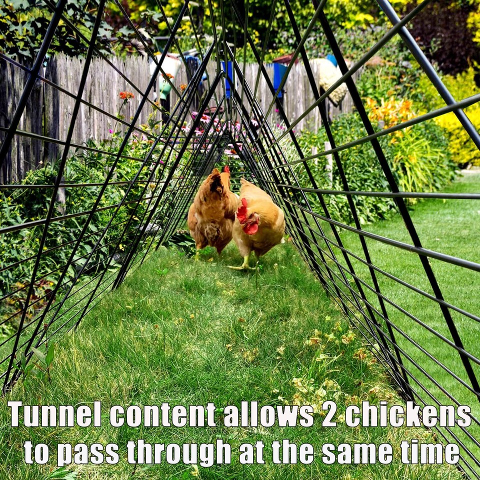 Chicken Tunnels for Yard, Chicken Tunnels for Outside, Chicken Run Coop