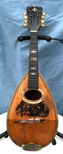 Vintage Bowl Back Mandolin wood case 