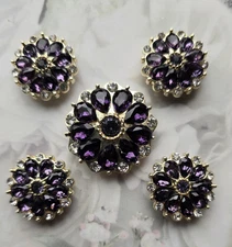 Saddle Seat, Hunt Seat show set.  Dark purple crystal magnet pins and brooch