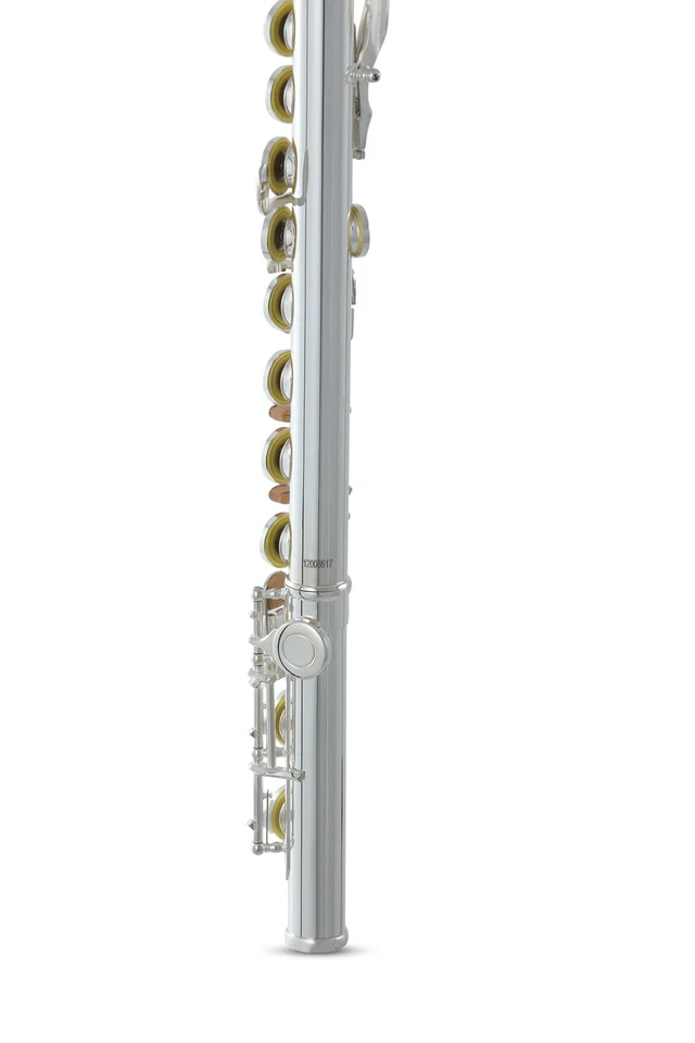 Roy Benson FL402E flauto traverso do Argentato fori chiusi non in linea FL-402E - Immagine 4 di 4