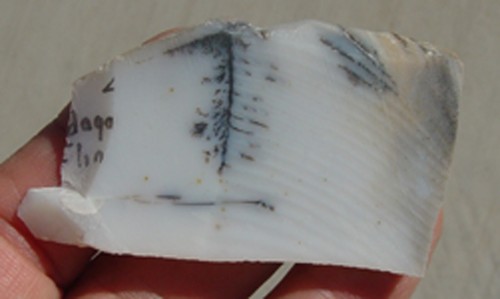 Losa lapidaria de sílex dendrítico a rayas T1277 - Imagen 9 de 10