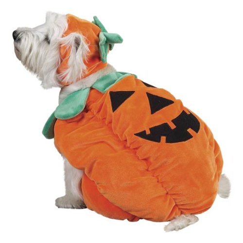 pet dog pumpkin halloween costume