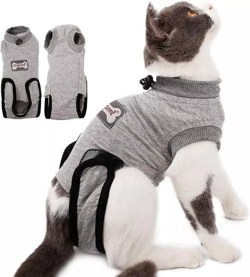 Alternatives to cat wearing cone after surgery cheap