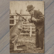 POSTAL Hombre Boxeo Canguro Divertido Estilo Sepia Retro Humor Animal Match