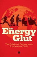 The Energy Glut Ian Roberts (U. A.) Taschenbuch Kartoniert / Broschiert Englisch