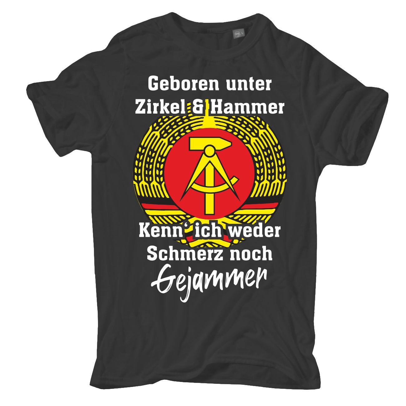 Bild 4 von 8