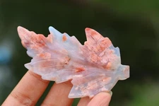 3'' Natural Pink agate leaf carving Home decor Crystal gift Crystal heal 1pc