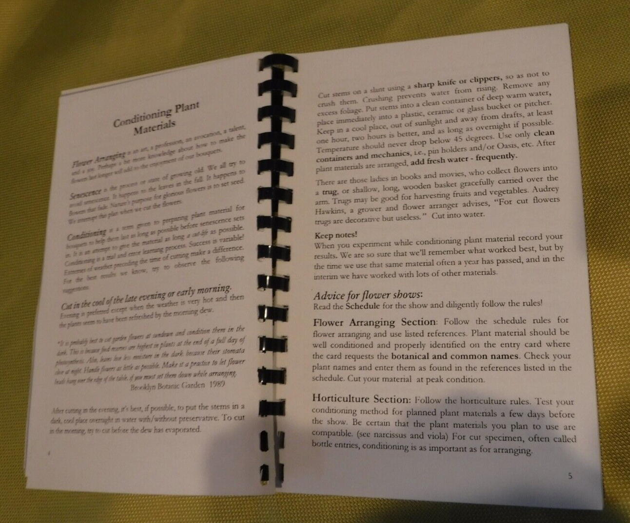 Picture 5 of 6
