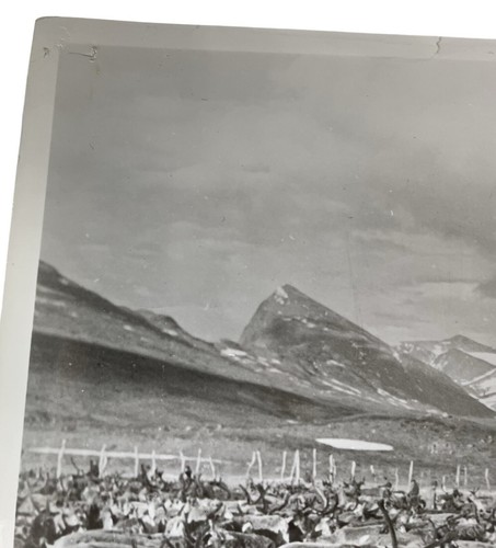 Sampo Lappelill Black White Picture Studio Photo Press Card Movie Still Film '48 - Afbeelding 8 van 10