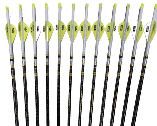 ESP EⅡ ARROW -7 Garflex Archery Arrows - Set Of 7 - XT 18-8 - Item 2305 | eBay