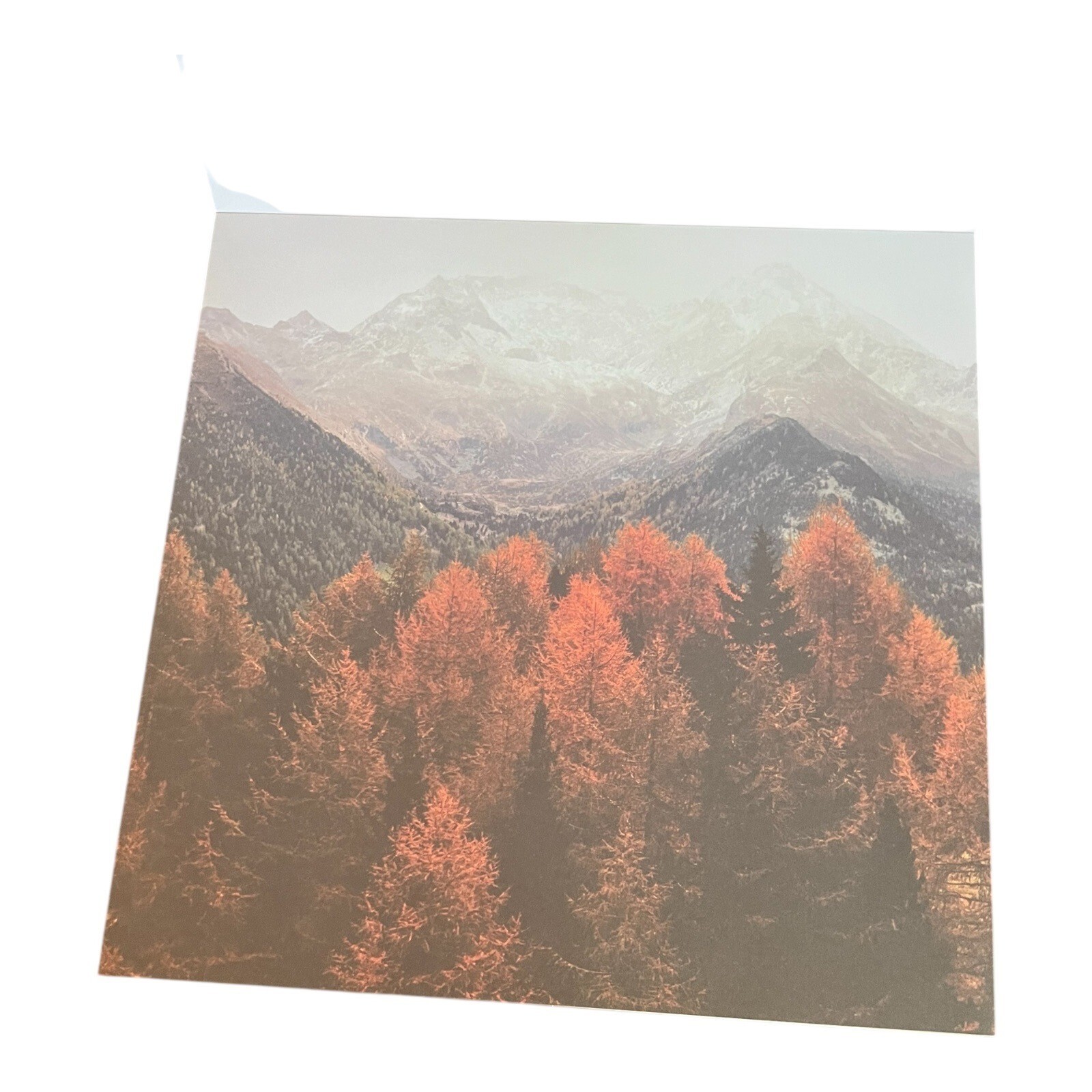 Picture 5 of 24