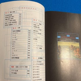 Panzer Dragoon Zwei Official Guide Sega Saturn Book Japanese