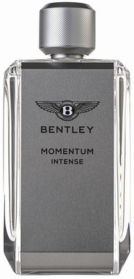 Bentley Momentum Intense Eau de Parfum 100 ml OVP NEU