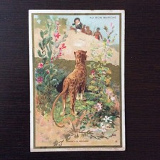 Chromo Publicitaire BON MARCHE - Vallet Minot Chasse à la panthère