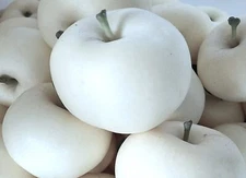 100 White Ghost Apple Tree Seeds - FRESH SEEDS