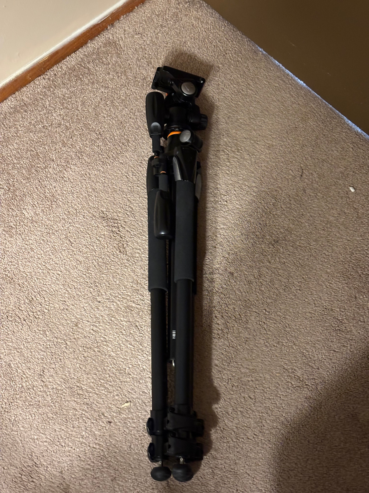 Picture 6 of 14