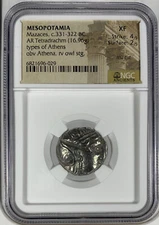 Mesopatamia - Mazaces, 331-322 BC - AR Tetradrachm - NGC XF - Rare - Athena/Owl
