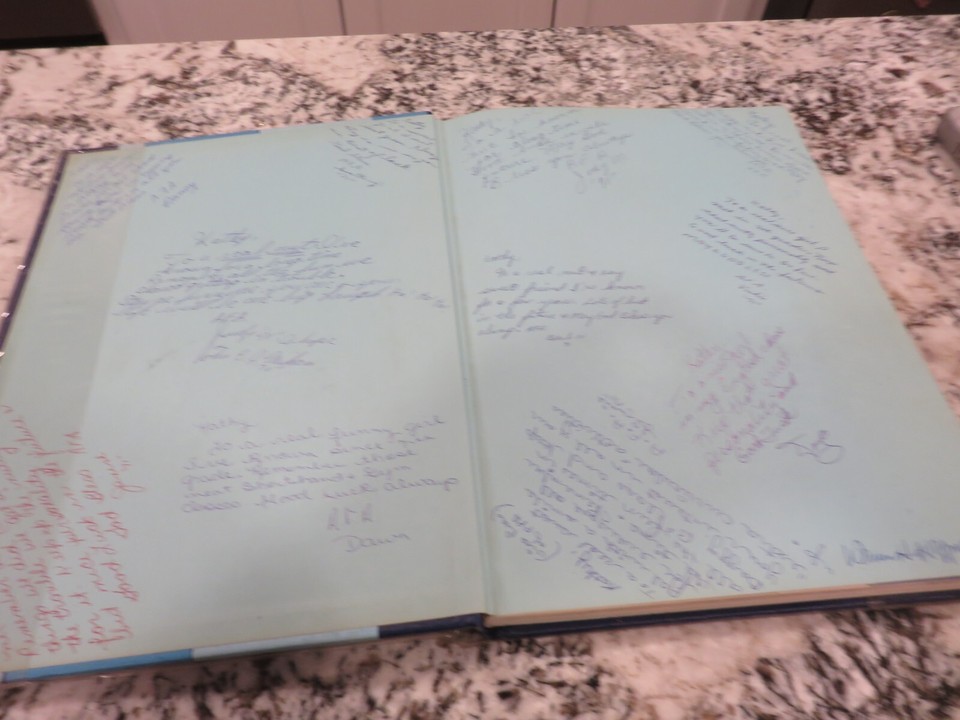 Vintage 1970 Lower Dauphin High School Yearbook Falconaire Hummelstown