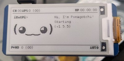Pwnagotchi Raspberry Pi Zero 2W Network Security Tool