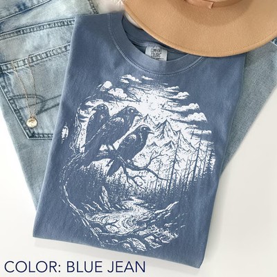 Vintage Raven Graphic Comfort Tee