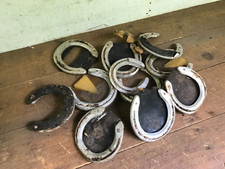 Lot 12 Vintage Aluminum Horseshoes w/ pads  nails