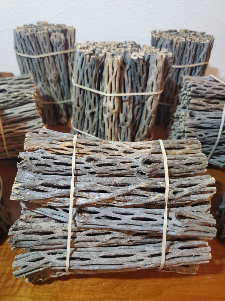 NEW! 6" inch CHOLLA Wood Pieces | 1/2" - 3/4" diameter | 10, 25, 50, 75, 100 pcs - Image 2 of 4