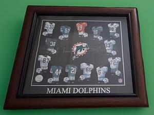 NFL Officially licensed: Miami Dolphins’ vintage jersey tribute, 1966 to 2004