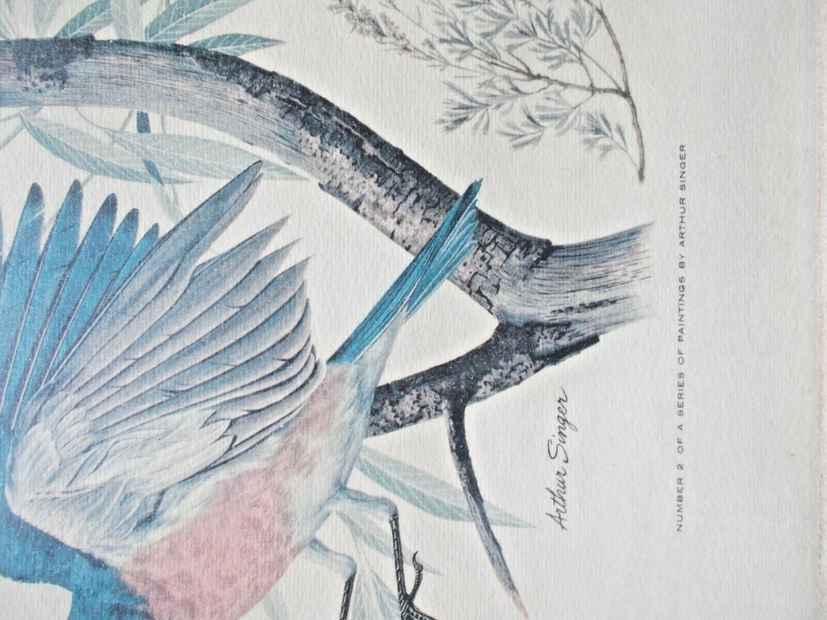 Arthur Singerアーサーシンガー！フラミンゴバレット。鳥のArtist 3-Vintage Arthur Singer Framed Print Birds Number 1, 2, & 3
