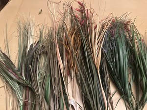 Lot of Faux Lilly Grass Over 20 Stems. New & Used