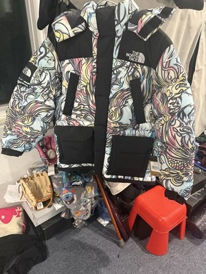 The North Face Supreme 700 Fill Down Jacket Size L, Multicolor Dragon Pattern