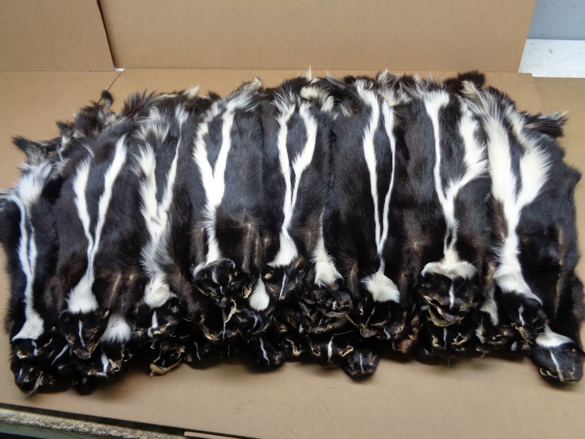 トップス share spirit skunk fur best sheep wool file.jpg