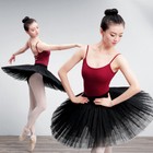 Pre-order Adult ballet tutu skirt purple and black - TM-105 main image 1