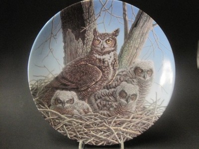 Große ehrenwerte Eule Sammelteller  28cm  Bradex The Great Horned Owl