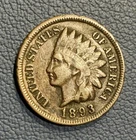 1893 Indian Head Cent – U.S. Collectible Coin - Darker Patina