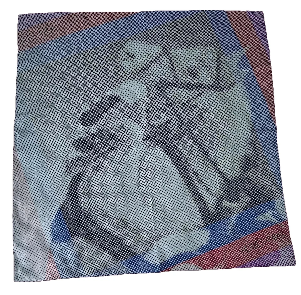 S2# Bufanda de seda Hermès LE SAUTH 35 pulgadas Foto 2 de 4