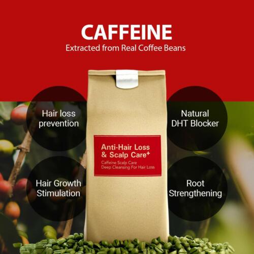 KUNDAL Natural Caffeine & Intensive Scalp Care Shampoo 500ml Hair Loss K-Beauty - Picture 8 of 17