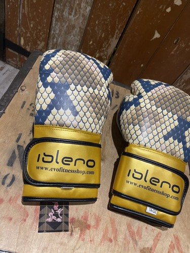 Evo Fitness Boxhandschuhe Sport Kampfsport Sparring Kickboxen Gold 14 Oz - Bild 2 von 21